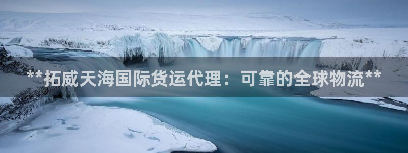 尊龙Ag：**拓威天海国际货运代理：可靠的全球物流**