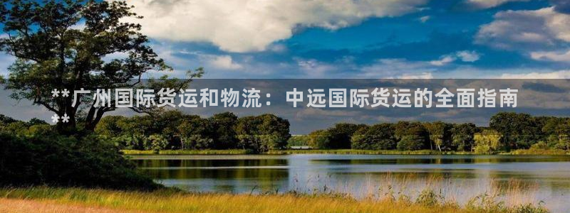 尊龙凯时不朽情缘：**广州国际货运和物流：中远国际货运的