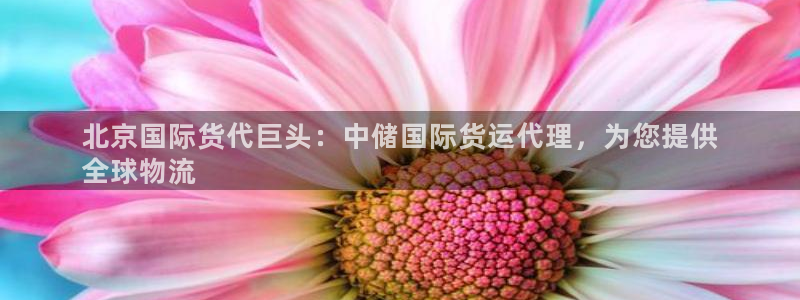 尊龙网址是选访问zd207：北京国际货代巨头：中储国际货