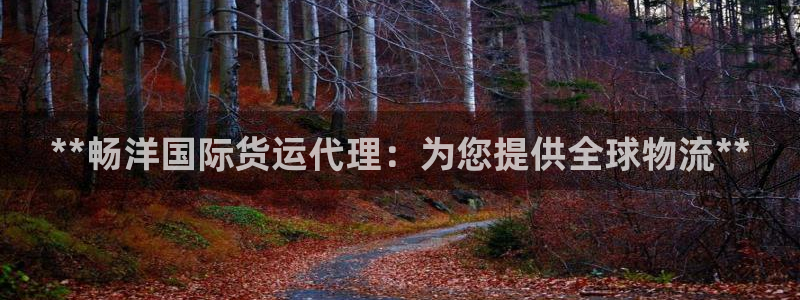 尊龙凯时下载人生就是博：**畅洋国际货运代理：为您提供全