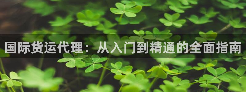 尊龙凯时赢不了：国际货运代理：从入门到精通的全面指南