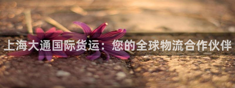 尊龙凯时app官方网站：上海大通国际货运：您的全球物流合