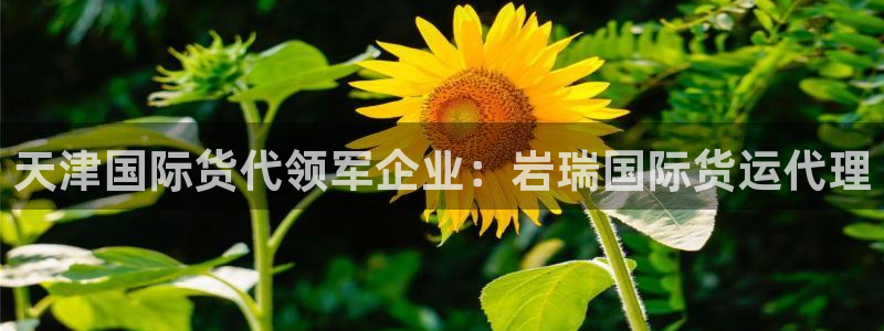 尊龙实业 吴友良：天津国际货代领军企业：岩瑞国际货运代理