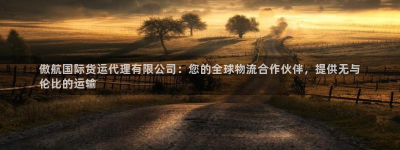 尊龙人生就是博旧：傲航国际货运代理有限公司：您的全球物流