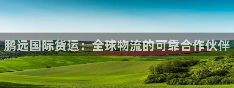 尊龙注册码：鹏远国际货运：全球物流的可靠合作伙伴