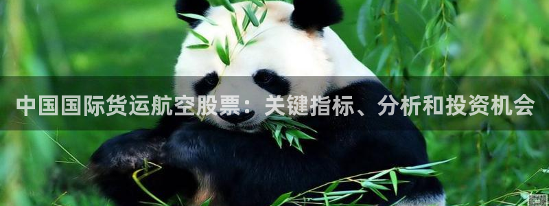 尊龙凯时平台入口：中国国际货运航空股票：关键指标、分析和