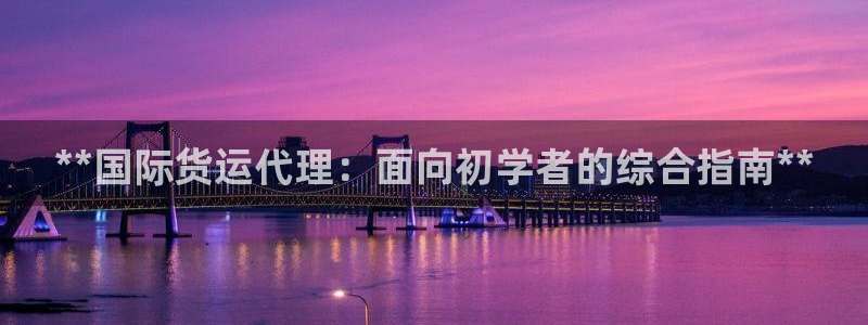 尊龙 下载：**国际货运代理：面向初学者的综合指南**