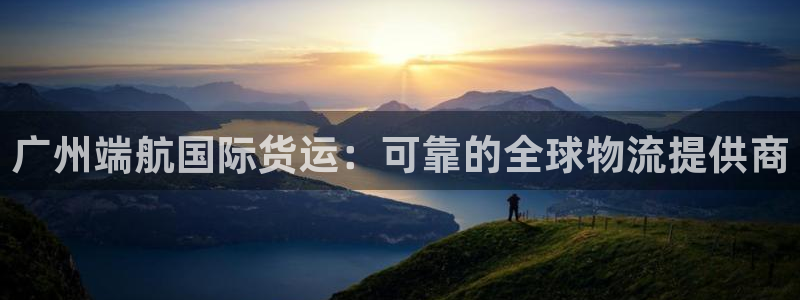 尊龙z6集团：广州端航国际货运：可靠的全球物流提供商