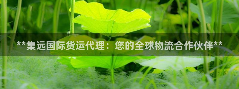 尊龙500价格：**集远国际货运代理：您的全球物流合作伙