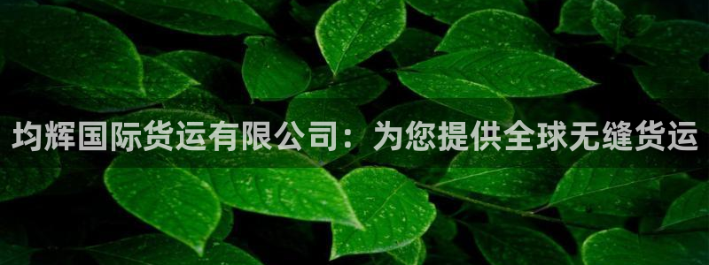 尊龙app怎么样：均辉国际货运有限公司：为您提供全球无缝