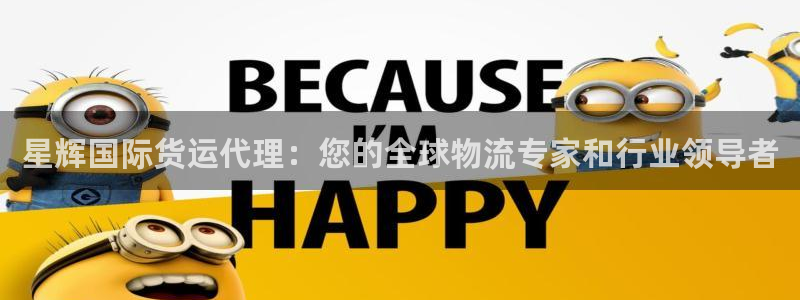 ag旗舰平台尊龙代言：星辉国际货运代理：您的全球物流专家