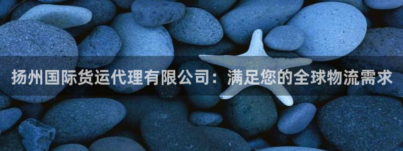 尊龙165：扬州国际货运代理有限公司：满足您的全球物流需
