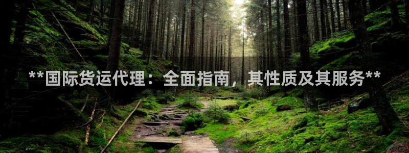 尊龙精品棋牌：**国际货运代理：全面指南，其性质及其服务