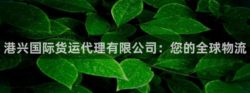 尊龙ag旗舰厅下载：港兴国际货运代理有限公司：您的全球物