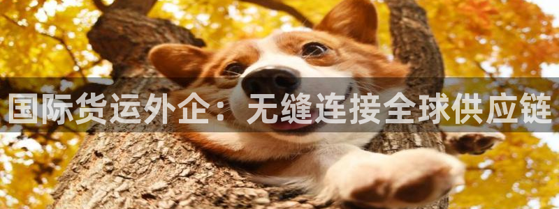 尊龙凯时老板：国际货运外企：无缝连接全球供应链