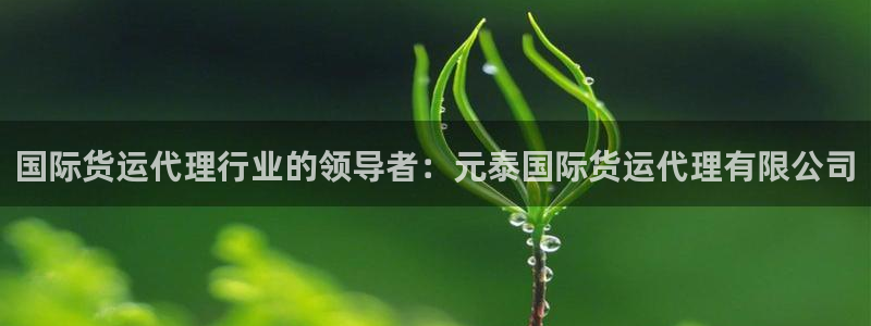 尊龙ag旗舰厅官网·(中国)官方入口：国际货运代理行业的