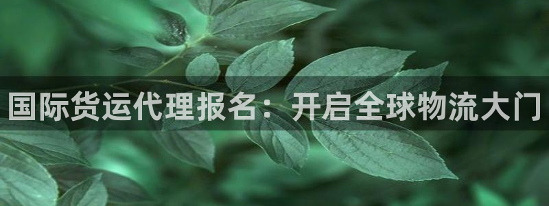 尊龙凯时产品系列：国际货运代理报名：开启全球物流大门