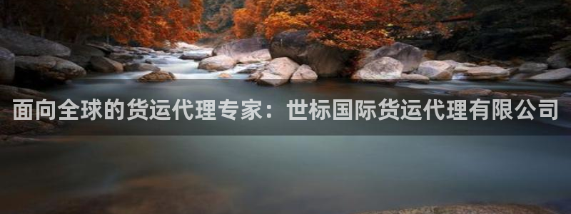 尊龙凯时捕鱼游戏能玩吗：面向全球的货运代理专家：世标国际