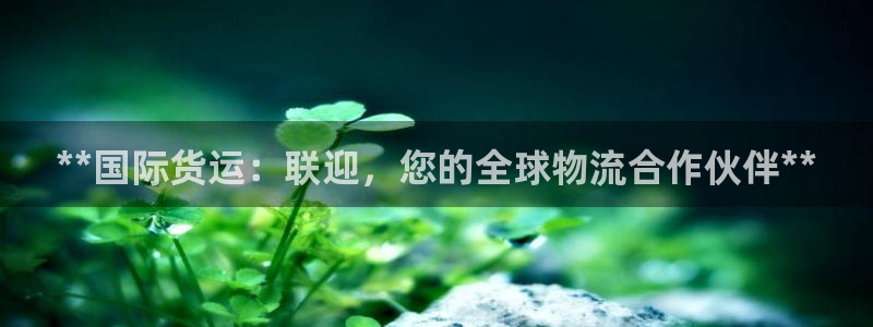 尊龙平台有谁玩过：**国际货运：联迎，您的全球物流合作伙