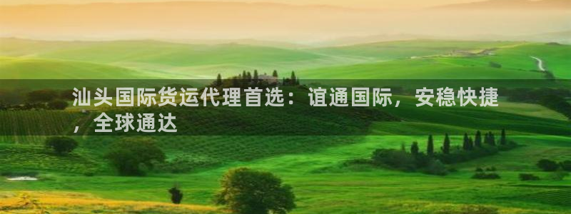 尊龙凯时不给提现怎么办：汕头国际货运代理首选：谊通国际，