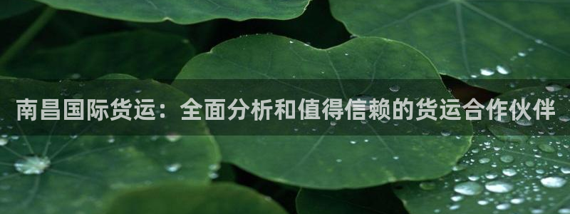 尊龙服饰有限公司地址：南昌国际货运：全面分析和值得信赖的