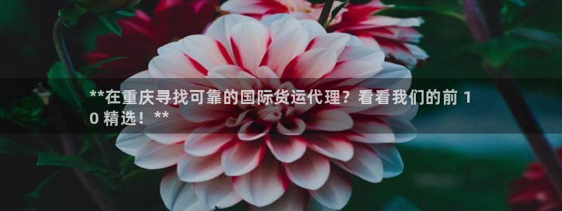 尊龙人生就是博一下阿扎尔：**在重庆寻找可靠的国际货运代