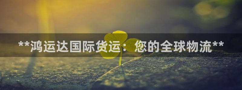 尊龙人生就是博电脑版：**鸿运达国际货运：您的全球物流*