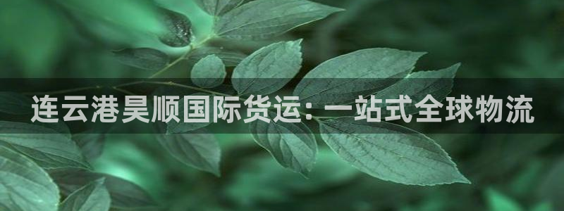 尊龙人生就是博网站下载：连云港昊顺国际货运: 一站式全球
