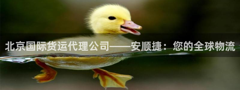尊龙凯时人生就是搏官方网站：北京国际货运代理公司——安顺