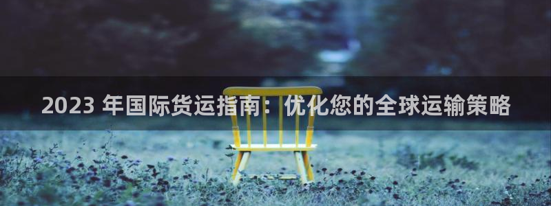 尊龙凯时代理佣金发不发：2023 年国际货运指南：优化您
