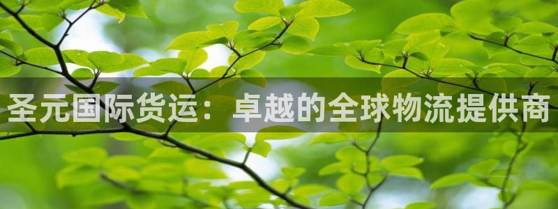 尊龙凯时输了100万：圣元国际货运：卓越的全球物流提供商