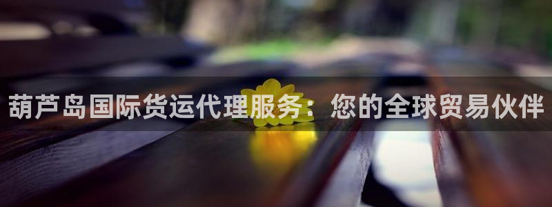 尊龙手机官方客户端下载安卓：葫芦岛国际货运代理服务：您的