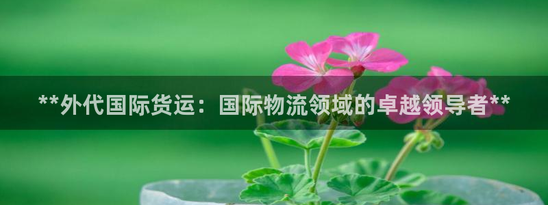 尊龙凯时能不能提现?：**外代国际货运：国际物流领域的卓