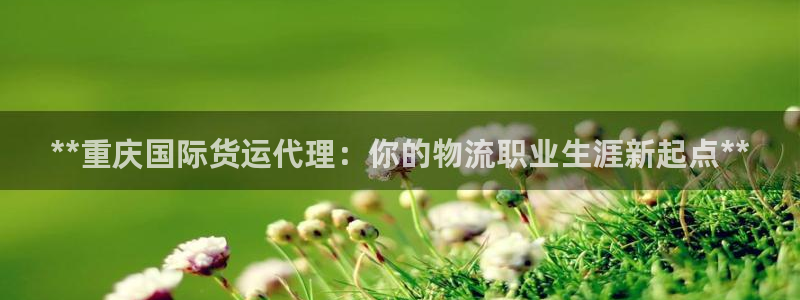 尊龙凯时人生就博：**重庆国际货运代理：你的物流职业生涯