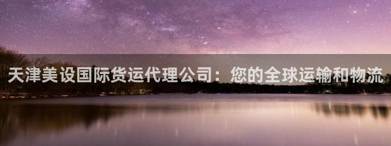 尊龙ag旗舰厅官网·(中国)官方入口：天津美设国际货运代