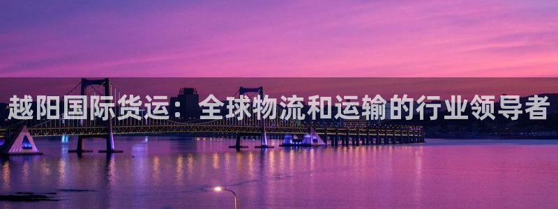 尊龙凯时网：越阳国际货运：全球物流和运输的行业领导者