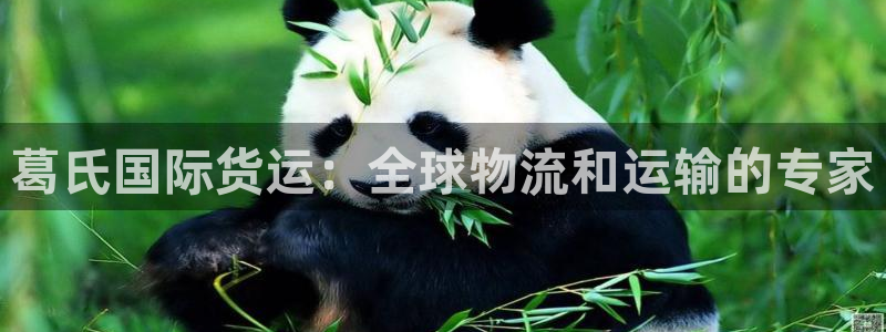 尊龙凯时人生就是搏首页：葛氏国际货运：全球物流和运输的专