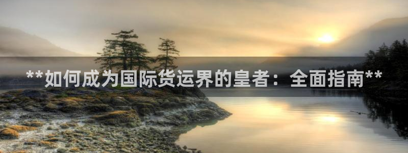 尊龙凯时平台有没有不到账的：**如何成为国际货运界的皇者