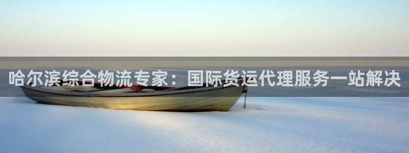 尊龙凯时不给提款：哈尔滨综合物流专家：国际货运代理服务一