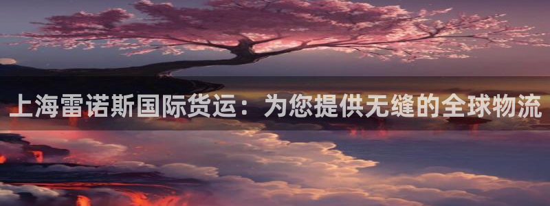 尊龙人生就是博：上海雷诺斯国际货运：为您提供无缝的全球物