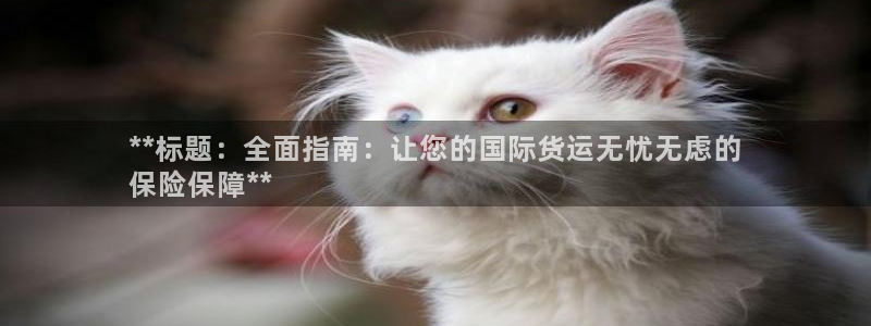 尊龙游戏官网：**标题：全面指南：让您的国际货运无忧无虑