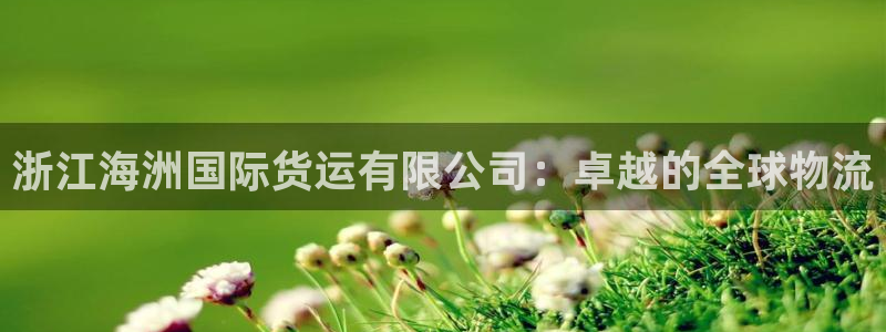 尊龙凯时几百万怎么下款：浙江海洲国际货运有限公司：卓越的