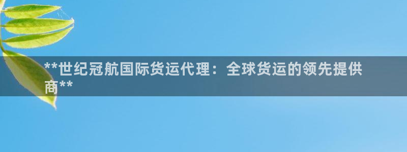 尊龙人生就是博网站下载：**世纪冠航国际货运代理：全球货
