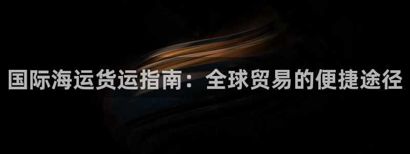 尊龙凯时取款有要求吗：国际海运货运指南：全球贸易的便捷途