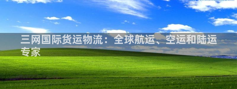 ag尊龙怎么样：三网国际货运物流：全球航运、空运和陆运
