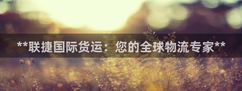 尊龙凯时人生就是搏技术实力：**联捷国际货运：您的全球物