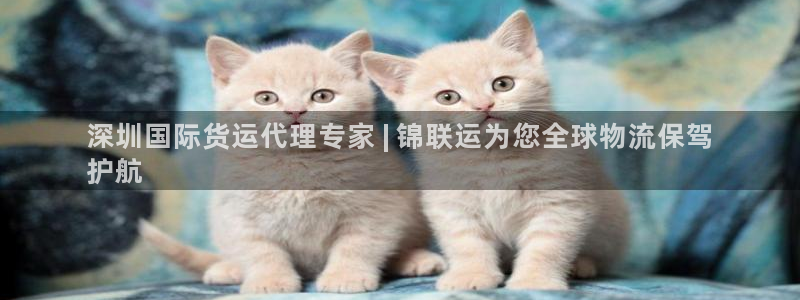 尊龙凯时提款一直审核中：深圳国际货运代理专家 | 锦联运