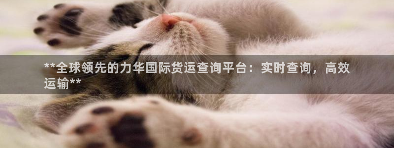 尊龙凯时麻将胡了：**全球领先的力华国际货运查询平台：实