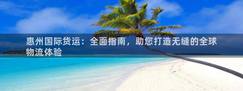 ag尊龙怎么样：惠州国际货运：全面指南，助您打造无缝的全