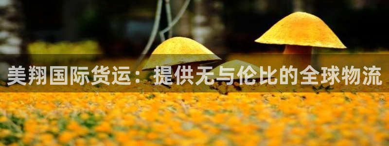 尊龙人生就是博现金：美翔国际货运：提供无与伦比的全球物流
